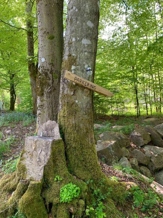 Skogshoejda Tjornarp Екстериор снимка